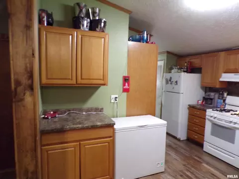 515 S Semi St, Sandoval, IL 62882 photo 9