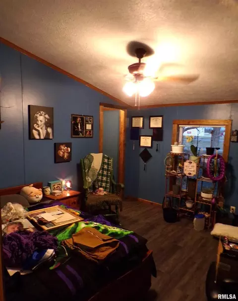 515 S Semi St, Sandoval, IL 62882 photo 13