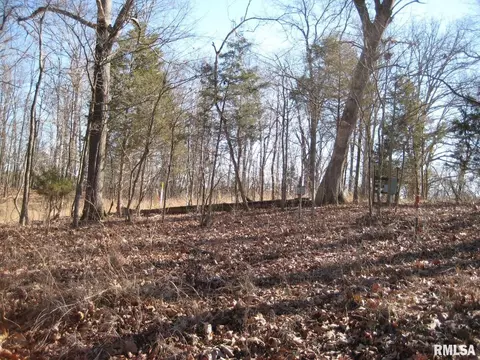 lot625 Thompson Dr, Goreville, IL 62939