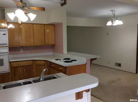 21 Crownview, Mount Vernon, IL 62864 photo 9