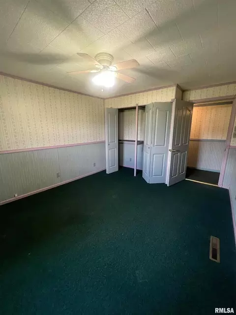 610 E Matthew St, Sesser, IL 62884 photo 13