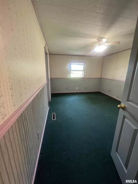610 E Matthew St, Sesser, IL 62884 photo 8