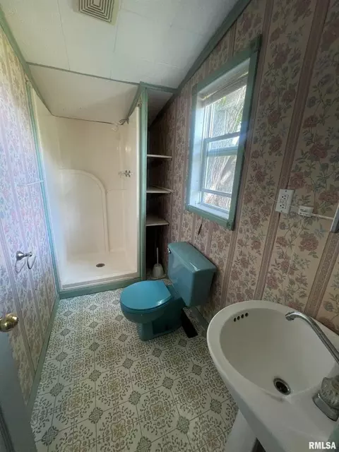 610 E Matthew St, Sesser, IL 62884 photo 9