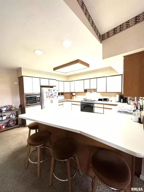 200 Oak Tree Dr, Salem, IL 62881 photo 14