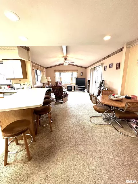 200 Oak Tree Dr, Salem, IL 62881 photo 9