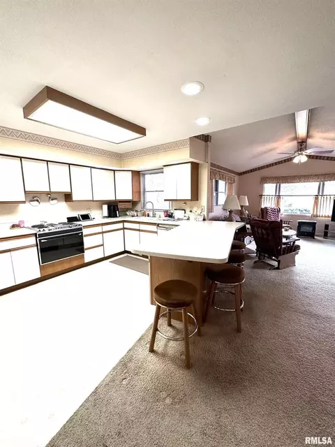 200 Oak Tree Dr, Salem, IL 62881 photo 13