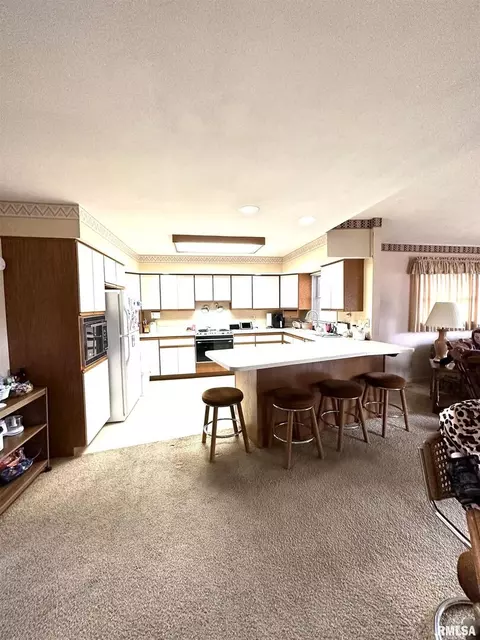 200 Oak Tree Dr, Salem, IL 62881 photo 7