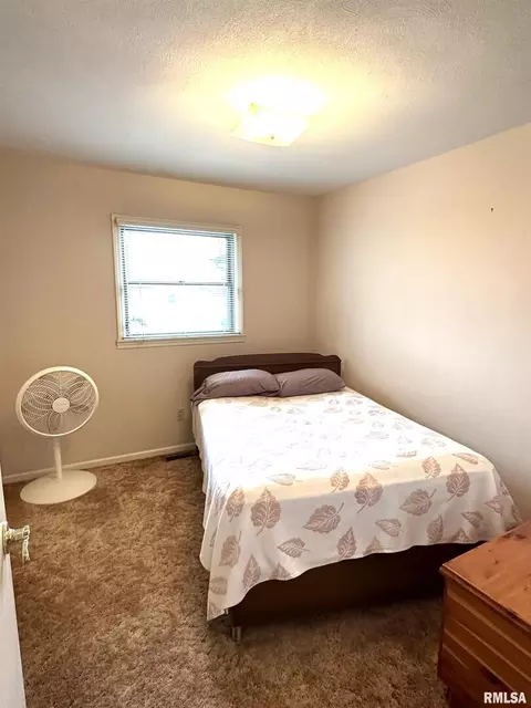 200 Oak Tree Dr, Salem, IL 62881 photo 23
