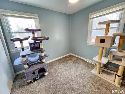 11 Phyllis Dr, Centralia, IL 62801 photo 35