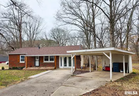 11 Phyllis Dr, Centralia, IL 62801 photo 3