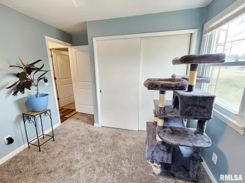 11 Phyllis Dr, Centralia, IL 62801 photo 36