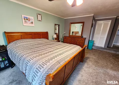 11 Phyllis Dr, Centralia, IL 62801 photo 26