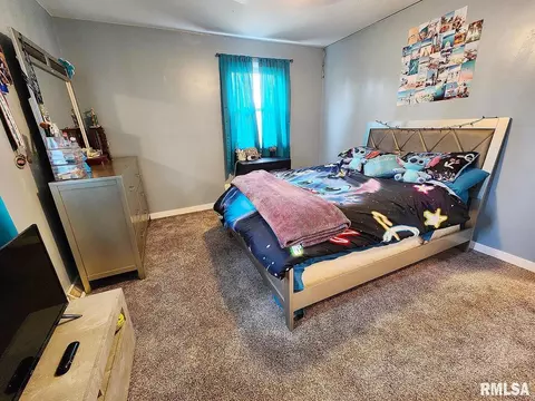 11 Phyllis Dr, Centralia, IL 62801 photo 34