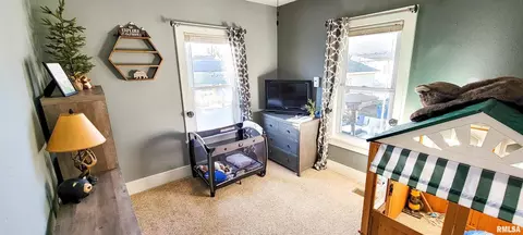 133 Flora Ave, Flora, IL 62839 photo 33