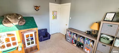 133 Flora Ave, Flora, IL 62839 photo 34