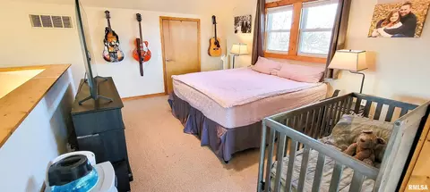 133 Flora Ave, Flora, IL 62839 photo 25