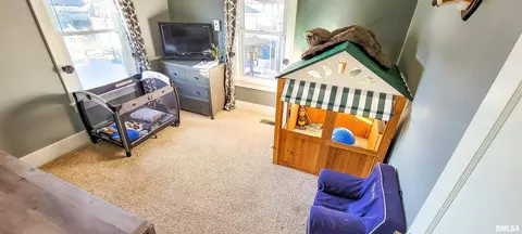 133 Flora Ave, Flora, IL 62839 photo 35