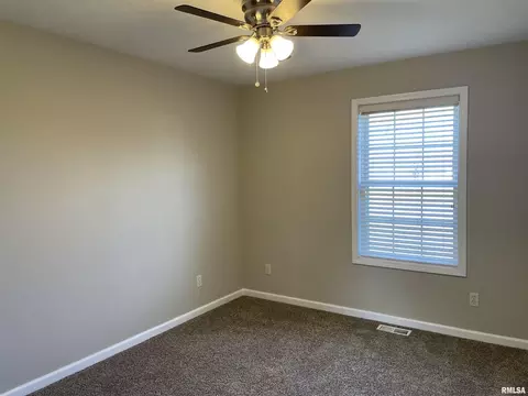 407 Empress Ln, Herrin, IL 62948 photo 20