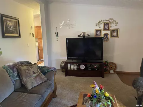 9655 Bethleham Rd, Marion, IL 62959 photo 14