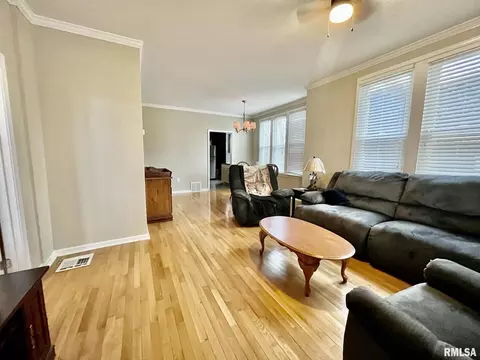 205 E 4th St, Metropolis, IL 62960 photo 8
