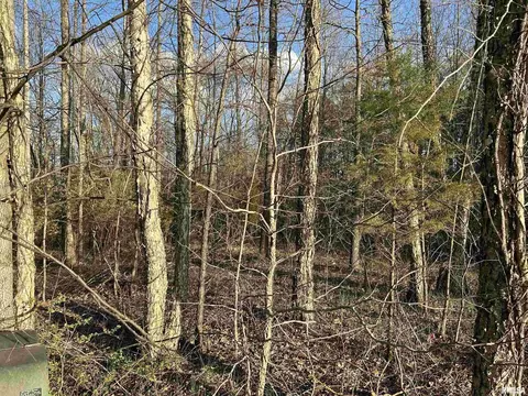 000 Bunker Rd, Makanda, IL 62958 photo 3