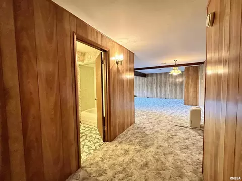 14280 Cochran Rd, Marion, IL 62959 photo 59