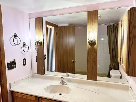 14280 Cochran Rd, Marion, IL 62959 photo 49
