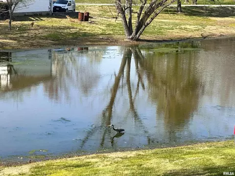 14280 Cochran Rd, Marion, IL 62959 photo 75
