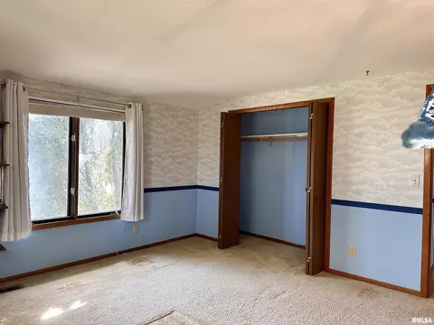 14280 Cochran Rd, Marion, IL 62959 photo 52