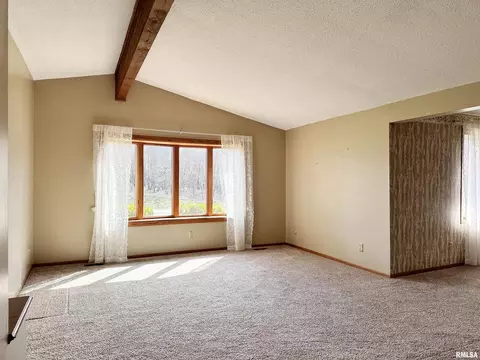 14280 Cochran Rd, Marion, IL 62959 photo 16