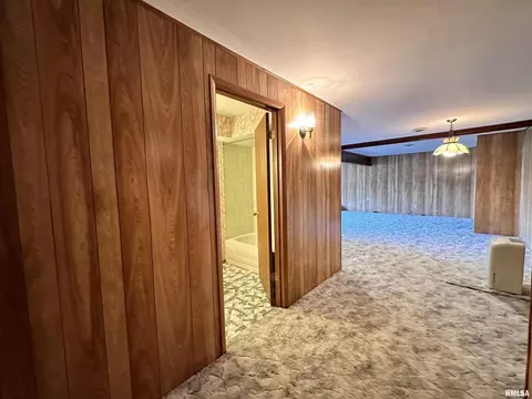 14280 Cochran Rd, Marion, IL 62959 photo 60
