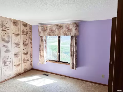 14280 Cochran Rd, Marion, IL 62959 photo 44