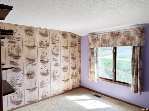 14280 Cochran Rd, Marion, IL 62959 photo 43