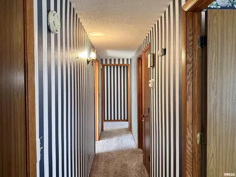 14280 Cochran Rd, Marion, IL 62959 photo 34