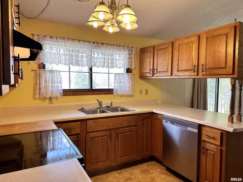 14280 Cochran Rd, Marion, IL 62959 photo 21