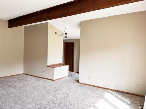 14280 Cochran Rd, Marion, IL 62959 photo 14