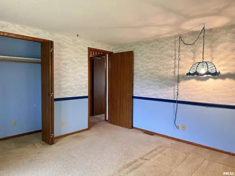 14280 Cochran Rd, Marion, IL 62959 photo 54