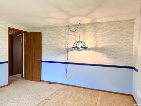 14280 Cochran Rd, Marion, IL 62959 photo 53