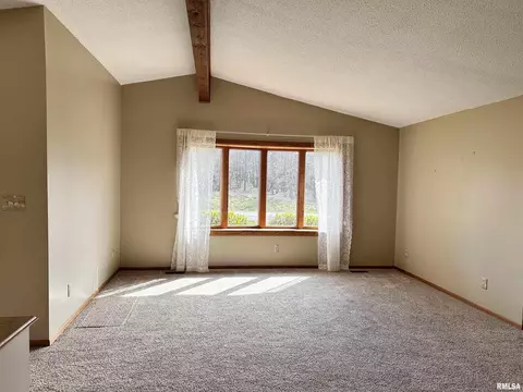 14280 Cochran Rd, Marion, IL 62959 photo 15