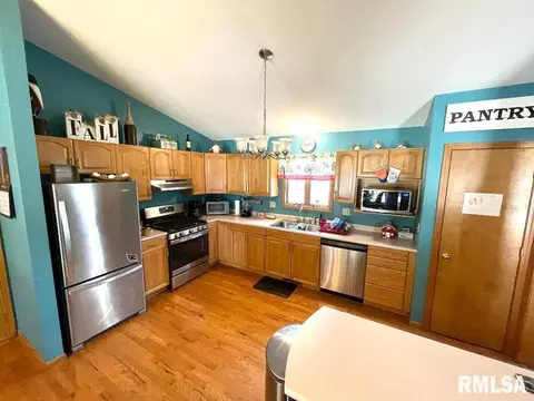 511 Tracy Ter, Centralia, IL 62801 photo 6