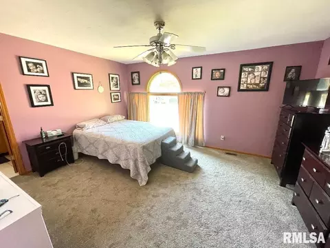 511 Tracy Ter, Centralia, IL 62801 photo 9