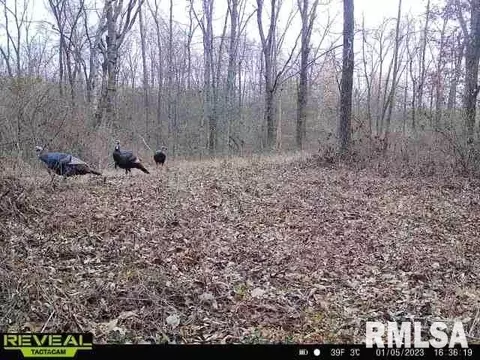12280 E Night Rd, Dix, IL 62830 photo 98