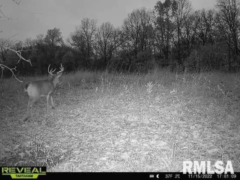 12280 E Night Rd, Dix, IL 62830 photo 88
