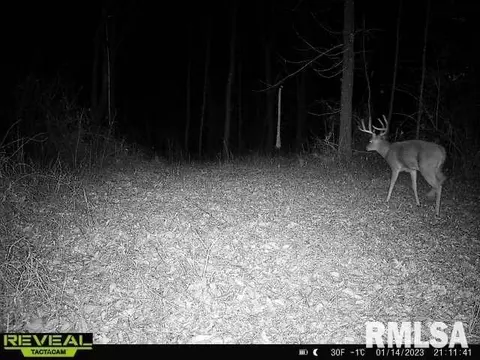 12280 E Night Rd, Dix, IL 62830 photo 93