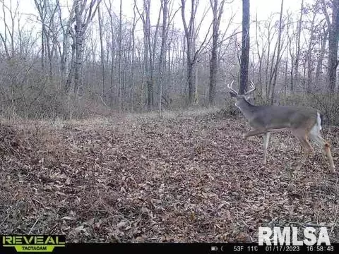12280 E Night Rd, Dix, IL 62830 photo 92