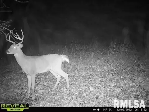 12280 E Night Rd, Dix, IL 62830 photo 73
