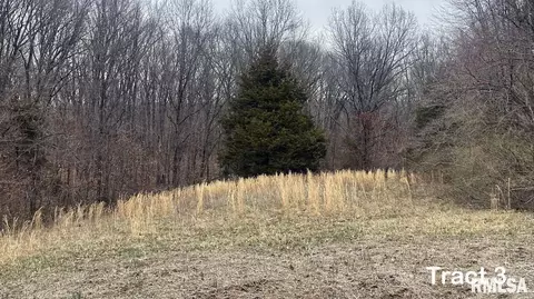 12280 E Night Rd, Dix, IL 62830 photo 94