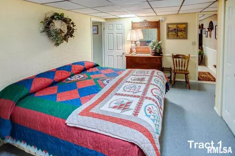 12280 E Night Rd, Dix, IL 62830 photo 24