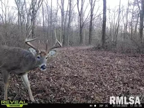 12280 E Night Rd, Dix, IL 62830 photo 83