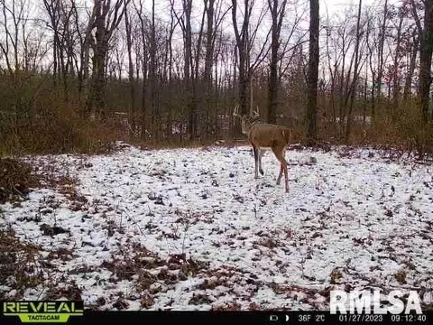 12280 E Night Rd, Dix, IL 62830 photo 89